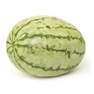 Watermelon Striped Big Size 1Pc