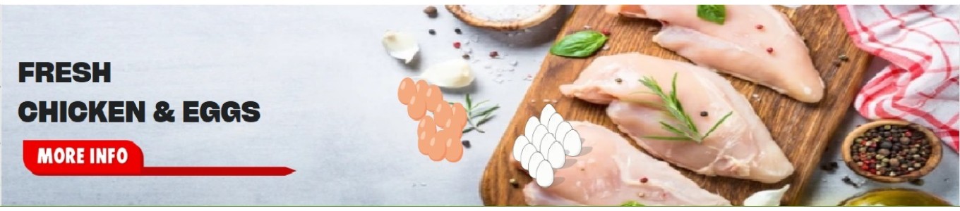 Chicken & Eggs