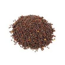 Black Mustard Whole (Kali Sarso) 100g