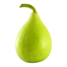 Bottle Gourd (Kaddu) 1Pc, 500-750g