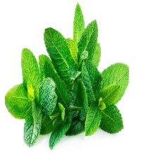 Mint Leaves, Cleaned, without roots 25g
