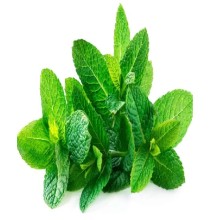 Mint Leaves, Cleaned, without roots 25g