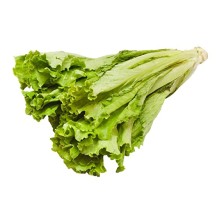 Lettuce Leaf (Salad Patta) 250g