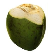 Green Coconut Small Size (Kolkata) 1Pc