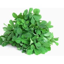Fresh Fenugreek ( Methee Or Methi Saag ) 250g