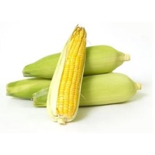Sweet Corn Fresh 1Pc
