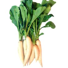 Radish (Mooli) 500g