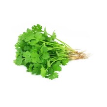 Coriander leaves (Dhania Patta) 100g