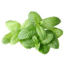 Mint leaves (Pudina Patta) 40-50g